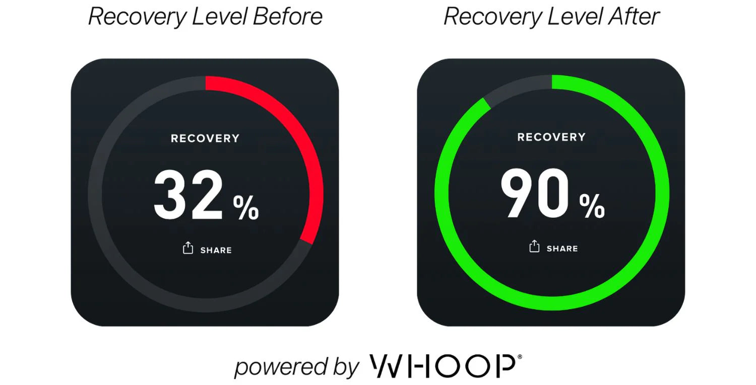 3_copy.webp